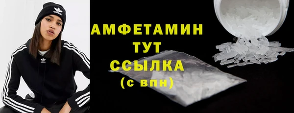 PSILOCYBIN Няндома