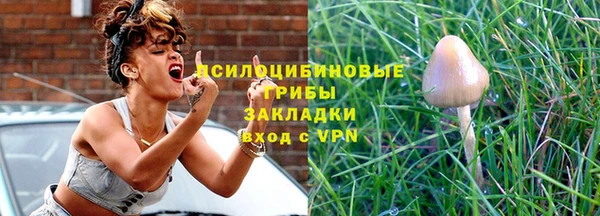 молекула духа Нязепетровск