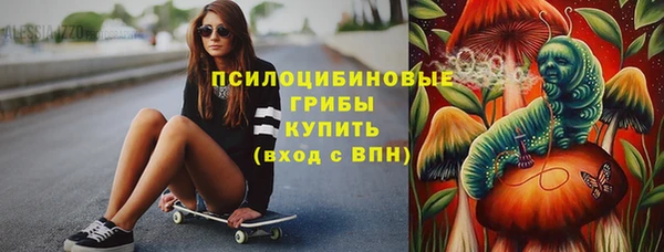 PSILOCYBIN Няндома