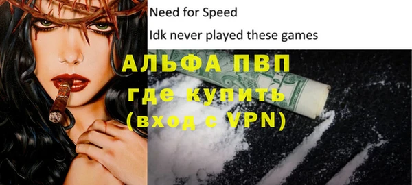 PSILOCYBIN Няндома