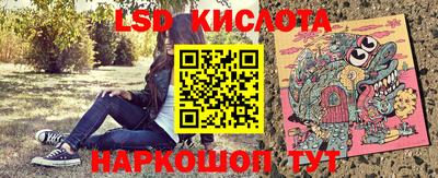 стаф Берёзовский