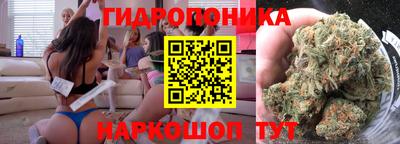 стаф Берёзовский