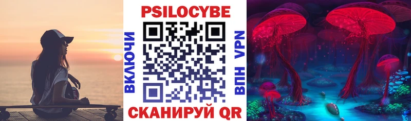 Галлюциногенные грибы MAGIC MUSHROOMS Курганинск