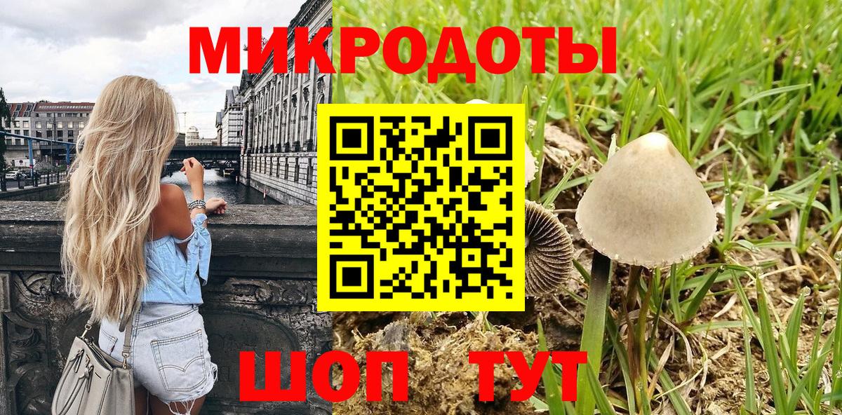 Псилоцибиновые грибы ЛСД  цена наркотик  Курганинск 