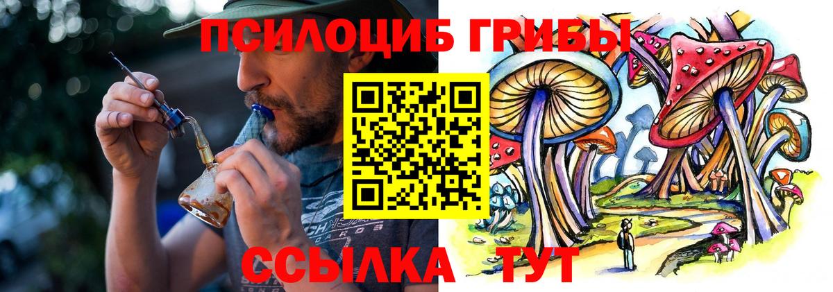 Псилоцибиновые грибы Magic Shrooms Курганинск