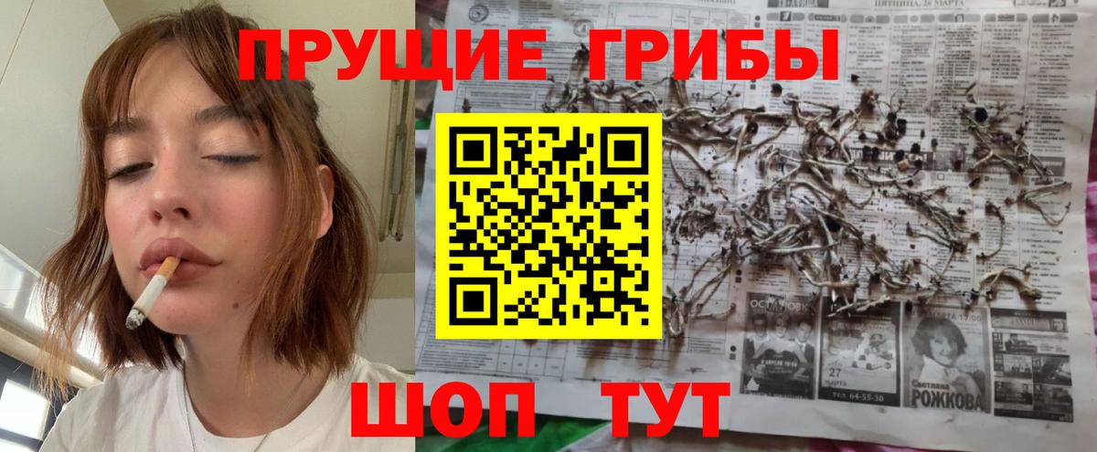 Псилоцибиновые грибы прущие грибы Курганинск